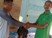 Pemdes Watu Porambaa Konsel Sukseskan Program Ketahanan Pangan, Bagikan 900 Ekor Ayam kepada Masyarakat 