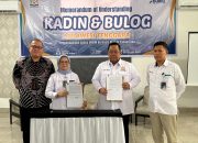 Kadin Sultra dan Bulog Jalin Kerja Sama Kembangkan UMKM Berbasis Rumah Pangan Kita