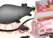 Dugaan Korupsi Anggaran Makan Minum Bupati Konawe Capai Rp 9,2 Miliar, LPPK Desak Polisi Bertindak Tegas