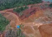 Ore Nikel Dikuras, Pabrik Pengolahan Feronikel Tak Kunjung Dibangun di Routa