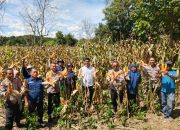 Hadiri Panen Raya Jagung, Kapolres Konawe Dukung Ketahanan Pangan 