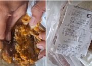 Geger! Ayam Krispi Berbelatung di Indomaret Unaaha: Manajemen Minta Maaf, Akui Kelalaian Petugas