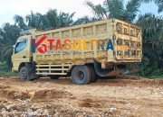 PT ST Nikel Diduga Langgar Aturan Hauling