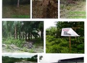 Dugaan Perusakan Sistematis di Taman Nasional Rawa Aopa Watumohai, Warga Soroti Indikasi Pembiaran