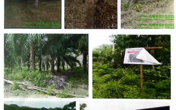 Dugaan Perusakan Sistematis di Taman Nasional Rawa Aopa Watumohai, Warga Soroti Indikasi Pembiaran