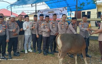 Polres Konawe Sembelih 13 Sapi dan 1 Kambing Kurban, Dua Ekor Bantuan Kapolri