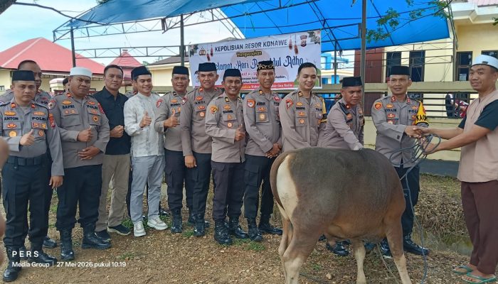 Polres Konawe Sembelih 13 Sapi dan 1 Kambing Kurban, Dua Ekor Bantuan Kapolri