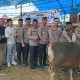 Polres Konawe Sembelih 13 Sapi dan 1 Kambing Kurban, Dua Ekor Bantuan Kapolri