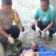 Remaja Asal Kendari Tewas Diduga Tersengat Listrik di Pulau Bokori