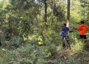 Warga Konawe Selatan yang Hilang Belum Ditemukan, Tim SAR Kerahkan Drone Thermal