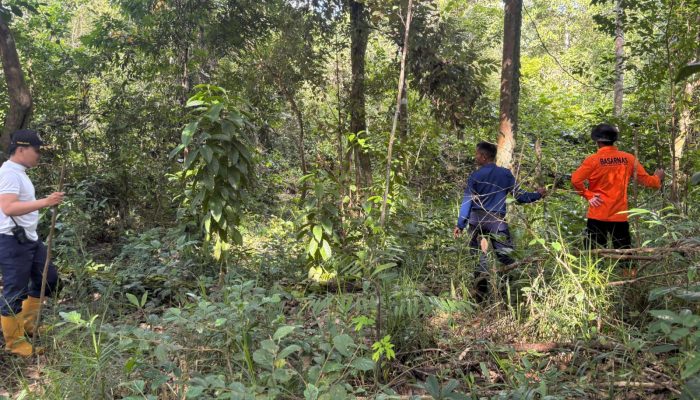 Warga Konawe Selatan yang Hilang Belum Ditemukan, Tim SAR Kerahkan Drone Thermal