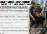 Diduga Hendak Bobol Box Tower Indosat Pria Asal Muna Diamankan di Konawe
